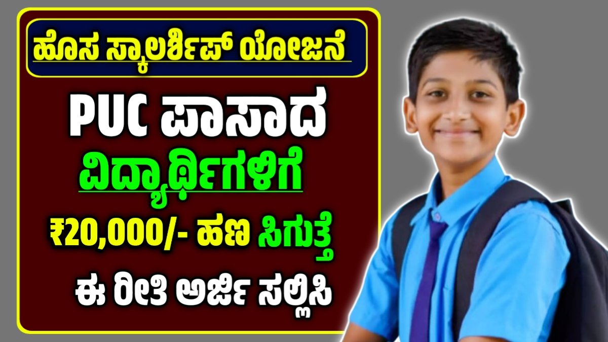 NSP Scholarship 2025